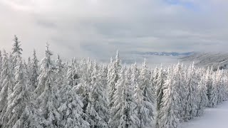 Фоновое Видео. Трейлер Канала 