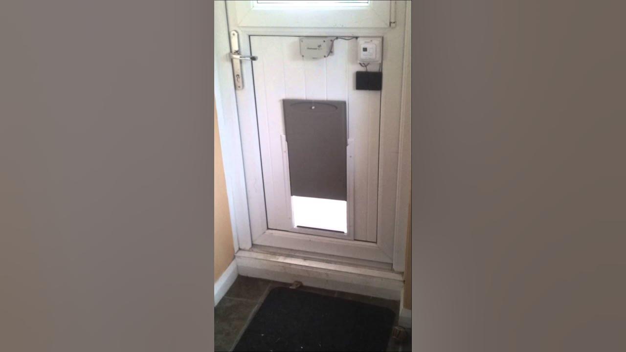 DIY Automatic Dog Door YouTube