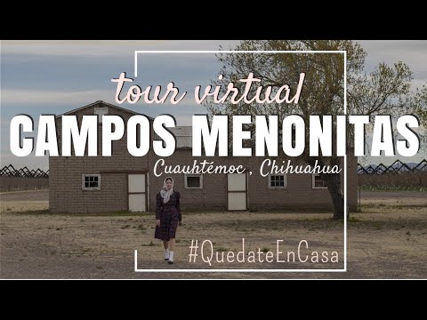 Tour CAMPOS MENONITAS | Cuauhtémoc, Chihuahua