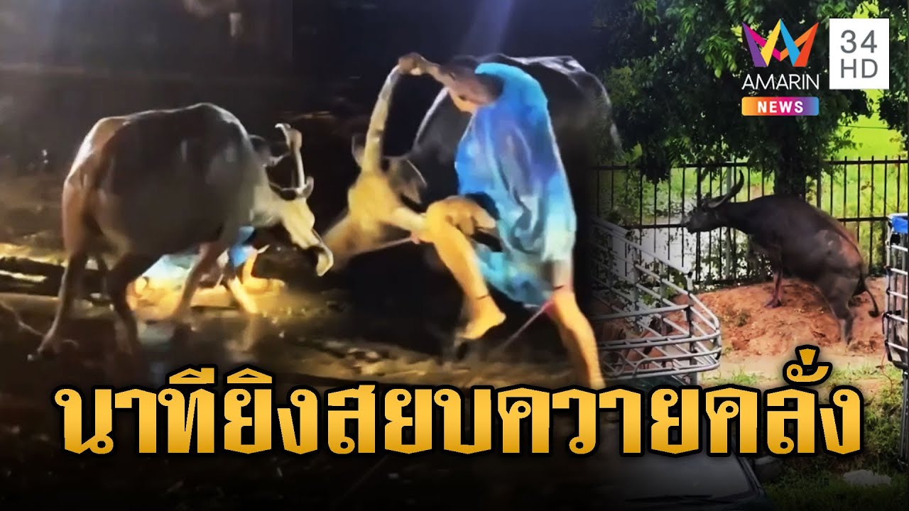 ควายสาวไล่ขวิดนายฮ้อยเจ็บหนัก | ข่าวอรุณอมรินทร์ | 18/7/68