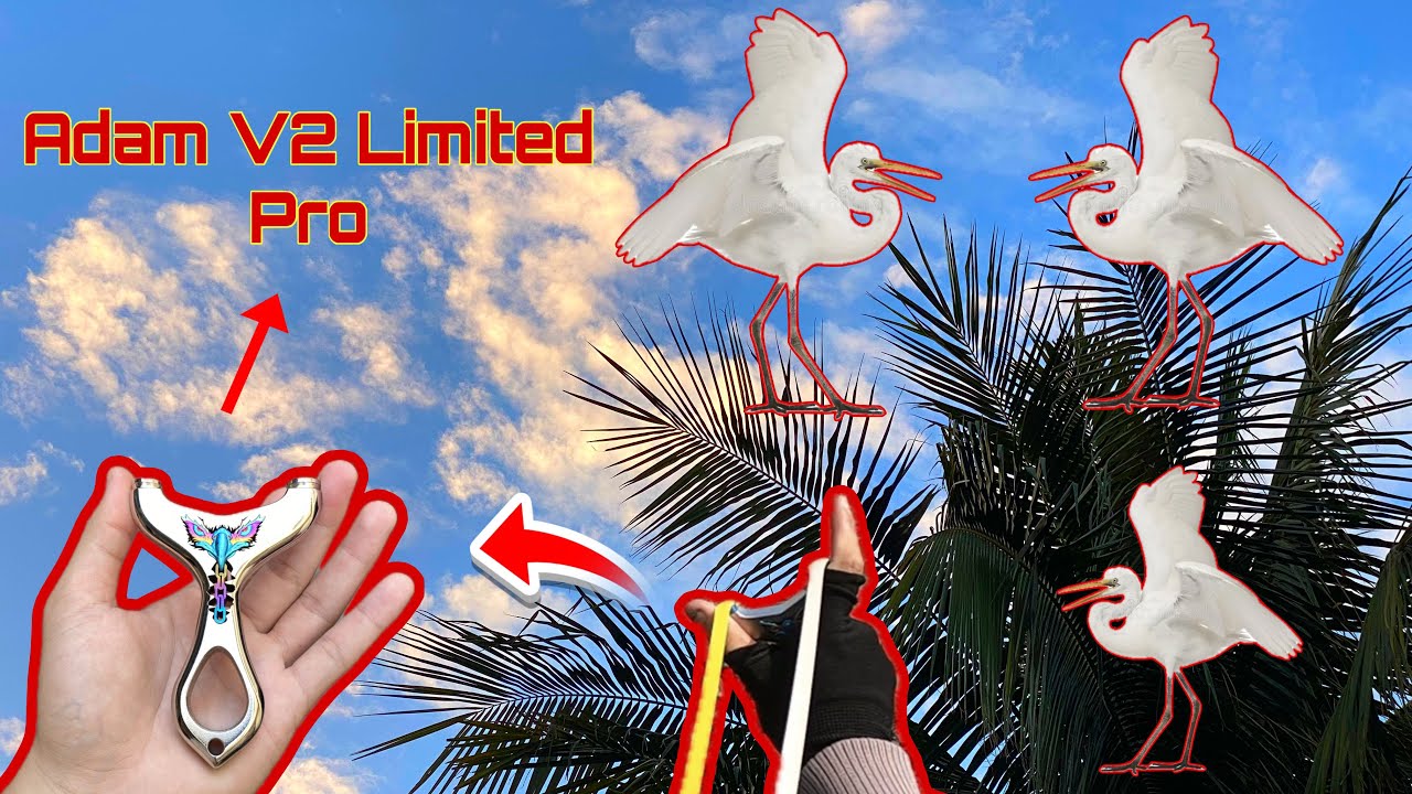 Cầm Ná Adam V2 Limited Pro Của Idol Đảm Nguyễn Kiếm Mồi Về Lai Rai Với Anh Em | Anh Bảy Slingshot