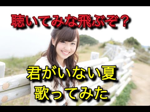 【聴いてみな飛ぶぞ？】君がいない夏　歌ってみた
