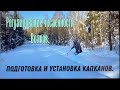 Регулирование численности волков. Подготовка и установка капканов.