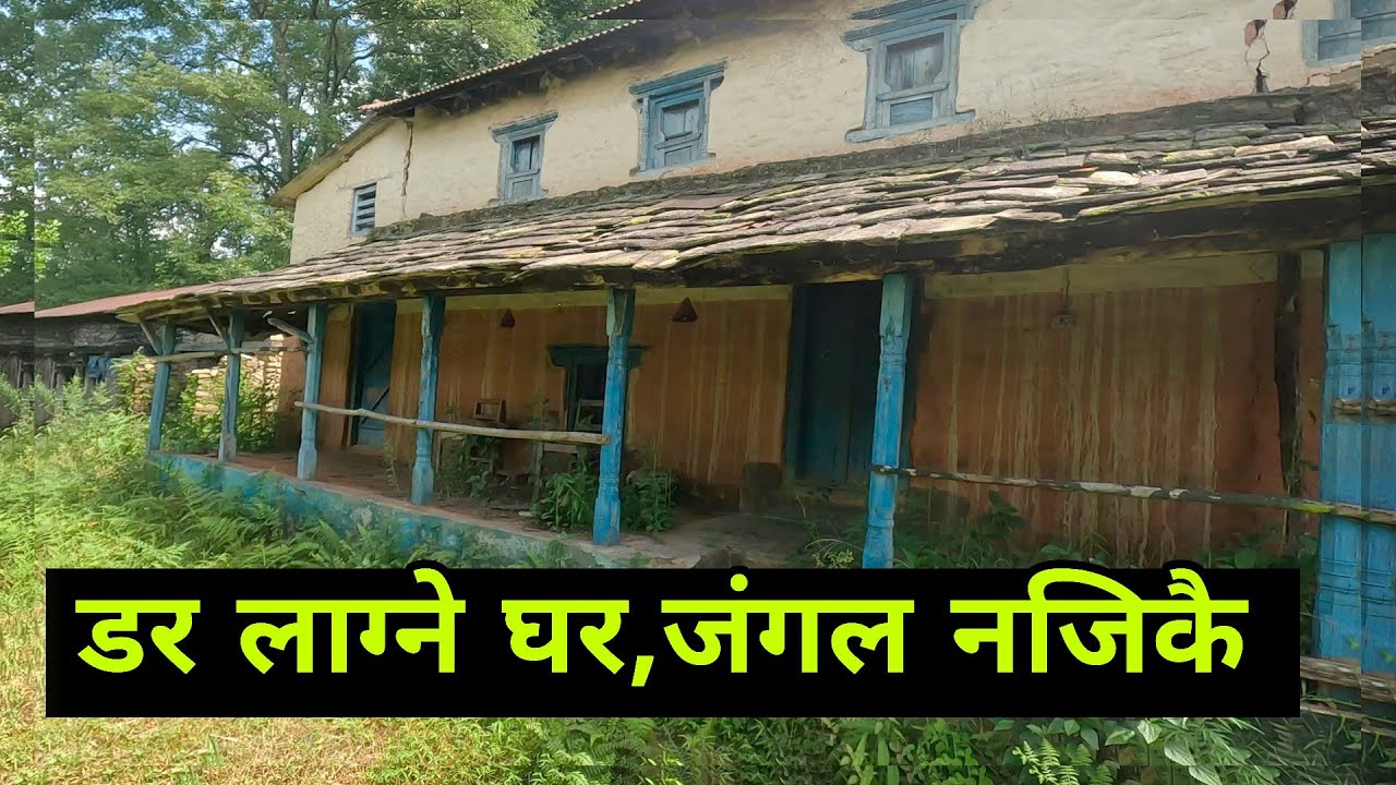 डर लाग्याे मलाई गाउँको अन्तिम घर जंगलकाे नजिकै#nepalivlogger #nepalicommunity #syangja #villagevlog 