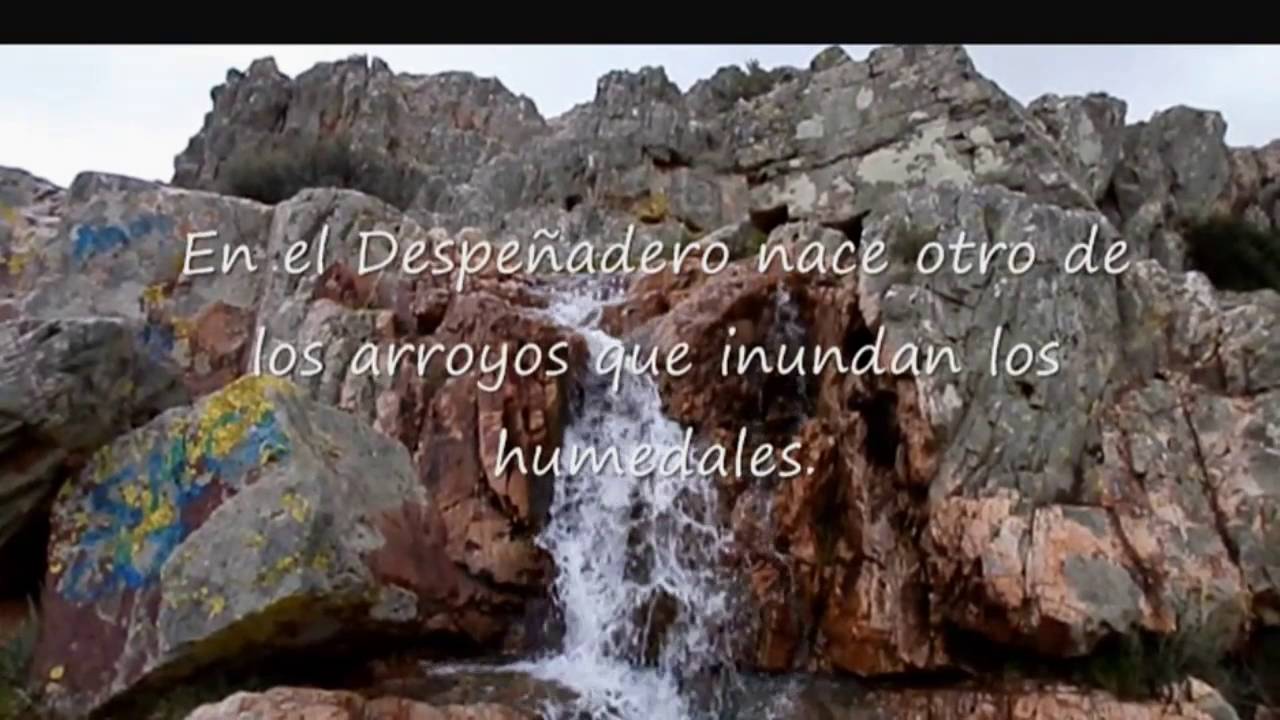 Humedales de Moral de Calatrava