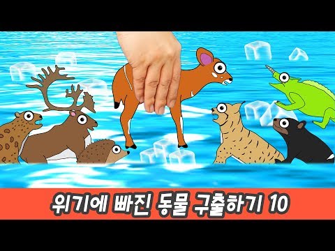 한국어ㅣ동물 구출 대작전 10화, 위기에 빠진 동물 돌려보내기, 어린이 동물만화ㅣ꼬꼬스토이