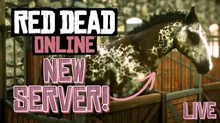 MAKING MORE $$ + BREEDING HORSES! 🔴 Cozy RedM Saturday!