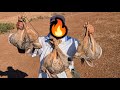 صيد الارنب والحجل في المغرب الحمد لله على هذه الخيرات 2025 2026      