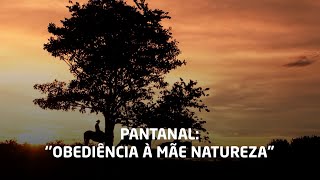 Pantanal: &quot;Obediência à mãe natureza&quot;