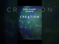 Creation: the Signature of Life Itself #shorts
