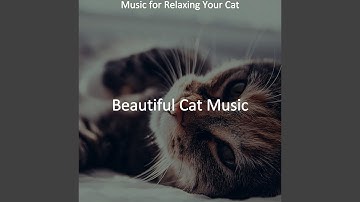 Pulsating Backdrops for Resting Cats