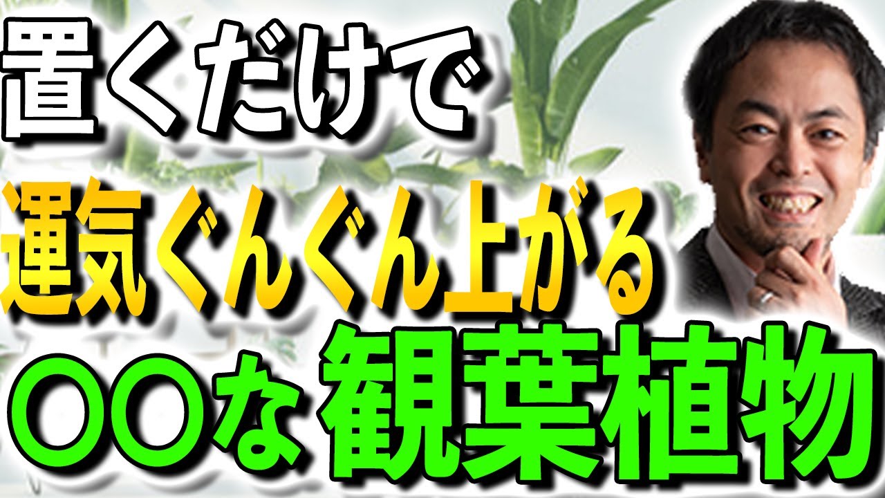 【最新版】運気を上げる観葉植物～金運、幸運、リラックス効果、クリエイティビティを発揮させるための秘訣～