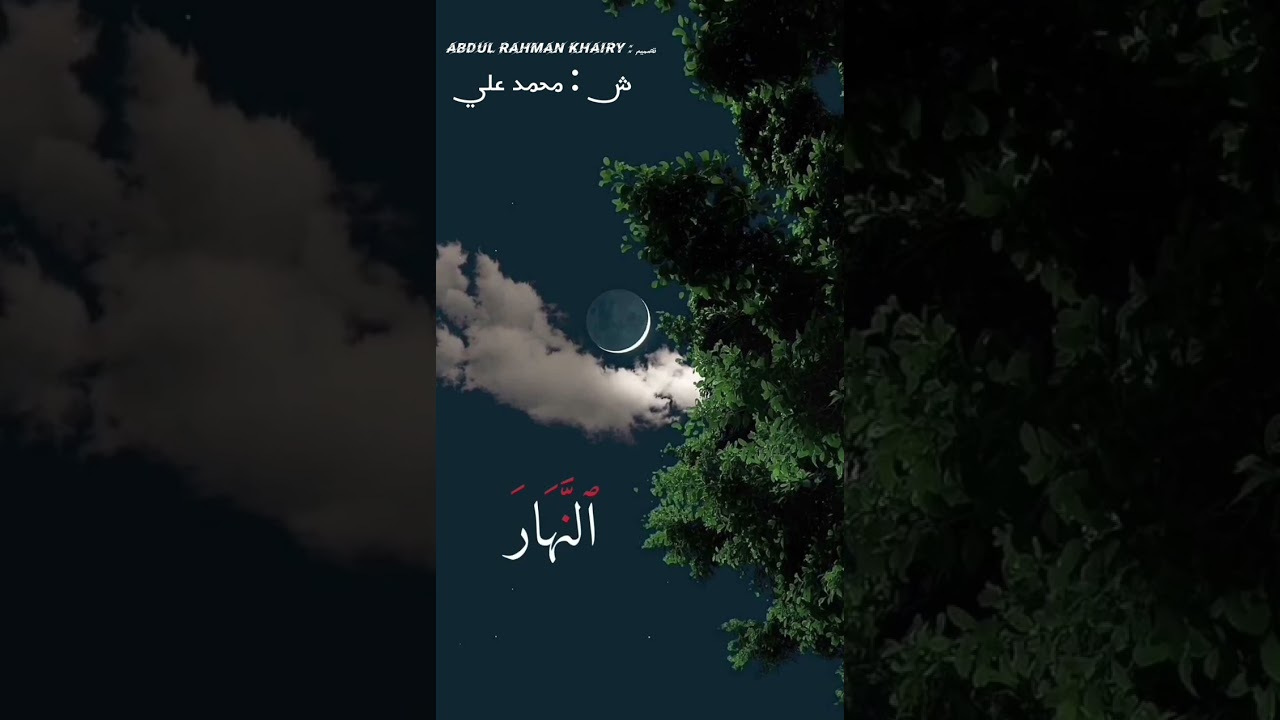 #القرآن_الكريم  ما تيسر من سوره القصص بصوت الشيخ: محمد علي 🌿🤍