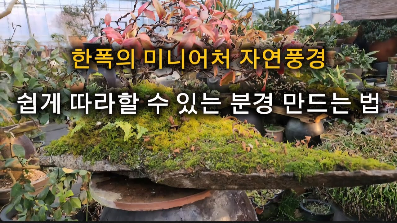 자연을 연출하는 매력 