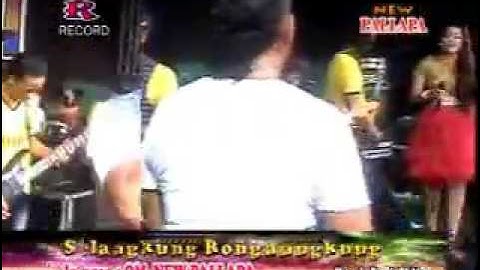 Devi aldiva_Selangkung rong langkung new pallapa