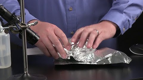 Photosynthesis with the Wireless CO2 Sensor