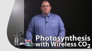 Photosynthesis with the Wireless CO2 Sensor screenshot 4