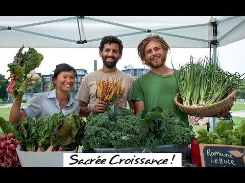 Video Lá bùa tăng trưởng: Cứ thể là thiêng liêng! - youtube