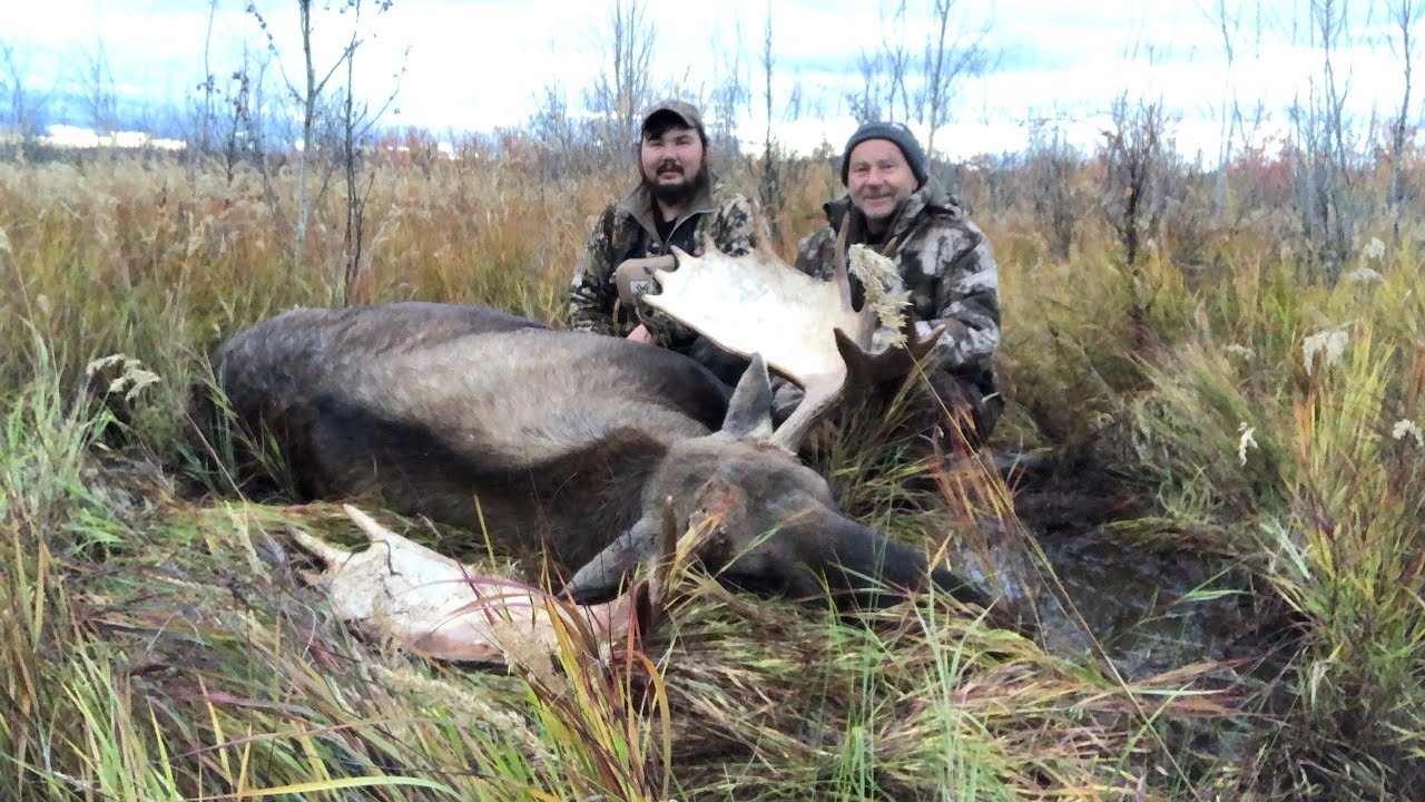 Moose Camp Part II ALASKA 2022 Compound Bow & Tikka T3 .3006 Nosler