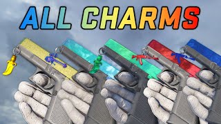 CS2 Charms - CS2 All Charms Showcase in Game with Prices
