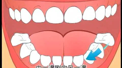 全城爱牙广告 - 天天要闻