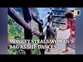 Monkey in China steals woman’s bag as she dances