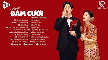 NHẠC ĐÁM CƯỚI REMIX 2024 💘 XIN MÁ RƯỚC DÂU, EM LÀ NHẤT MIỀN TÂY - TUYỂN TẬP NHẠC ĐÁM CƯỚI
