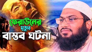 ফেরাউনের মৃত্যু জিব্রাইল আঃ কিভাবে নিশ্চিত হলেন শুনুন বাস্তব ঘটনাIsmail Bukhari new wazইসমাঈল বুখারী