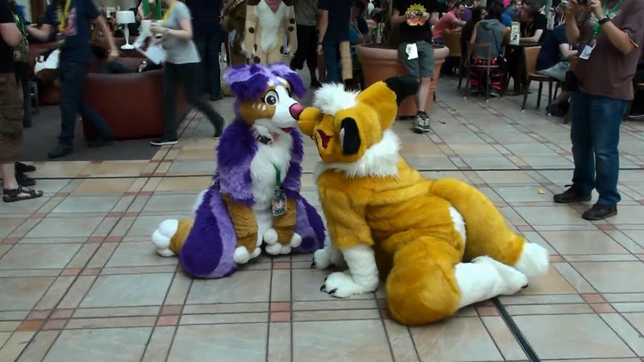 Eurofurence 21 Dog Things - YouTube
