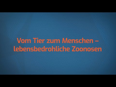 Video: Konvergenzmodell Zur Wirksamen Prävention Und Bekämpfung Von Zoonosen: Eine Studie Des Gesundheitssystems Zum Ansatz „One Health“in Ahmedabad, Indien