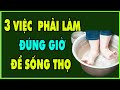 3 Việc Nhất Định Phải Làm Đúng Giờ Bệnh Tật Sẽ Tiêu Tan Tuổi Thọ Đến I Khỏe Đẹp Online