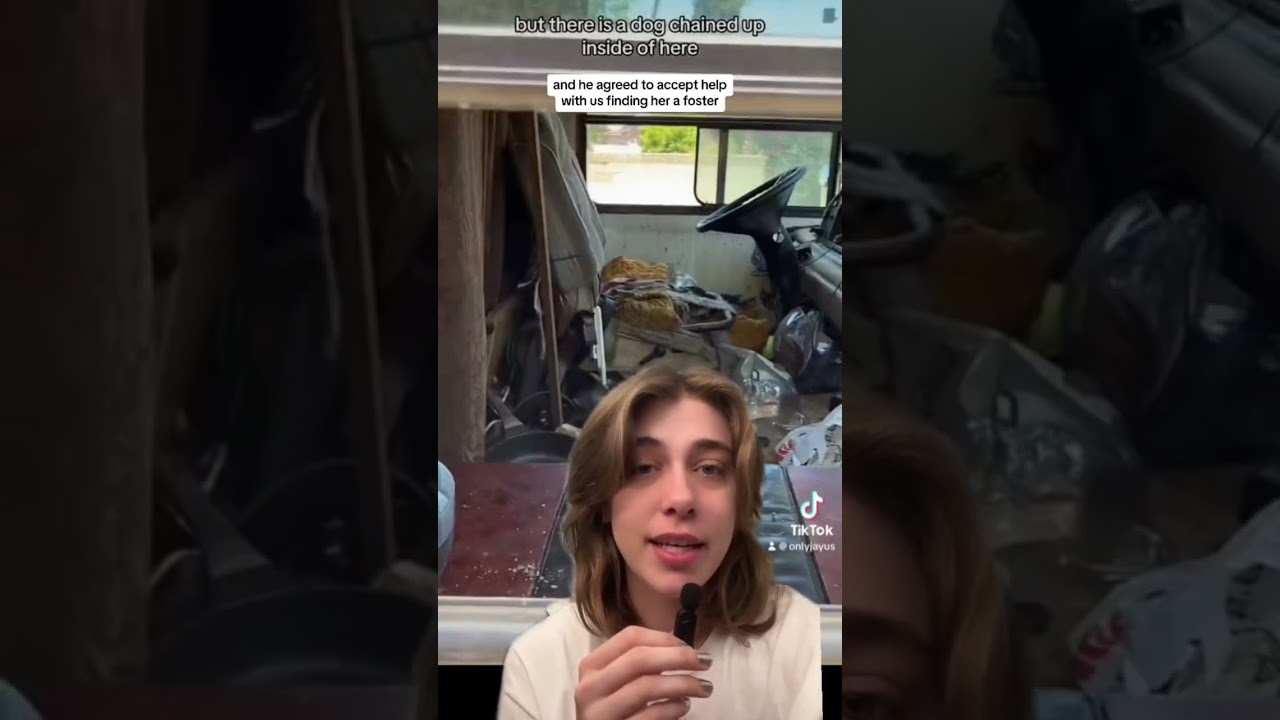 RV Dog Update ☀️🚐🐶 w OnlyJayus - 