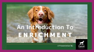 Rescue Dogs Online Summit (Day 1) : enrichment talk by Finn Paddy Dog Training 62 views 1 year ago 1 hour, 5 minutes