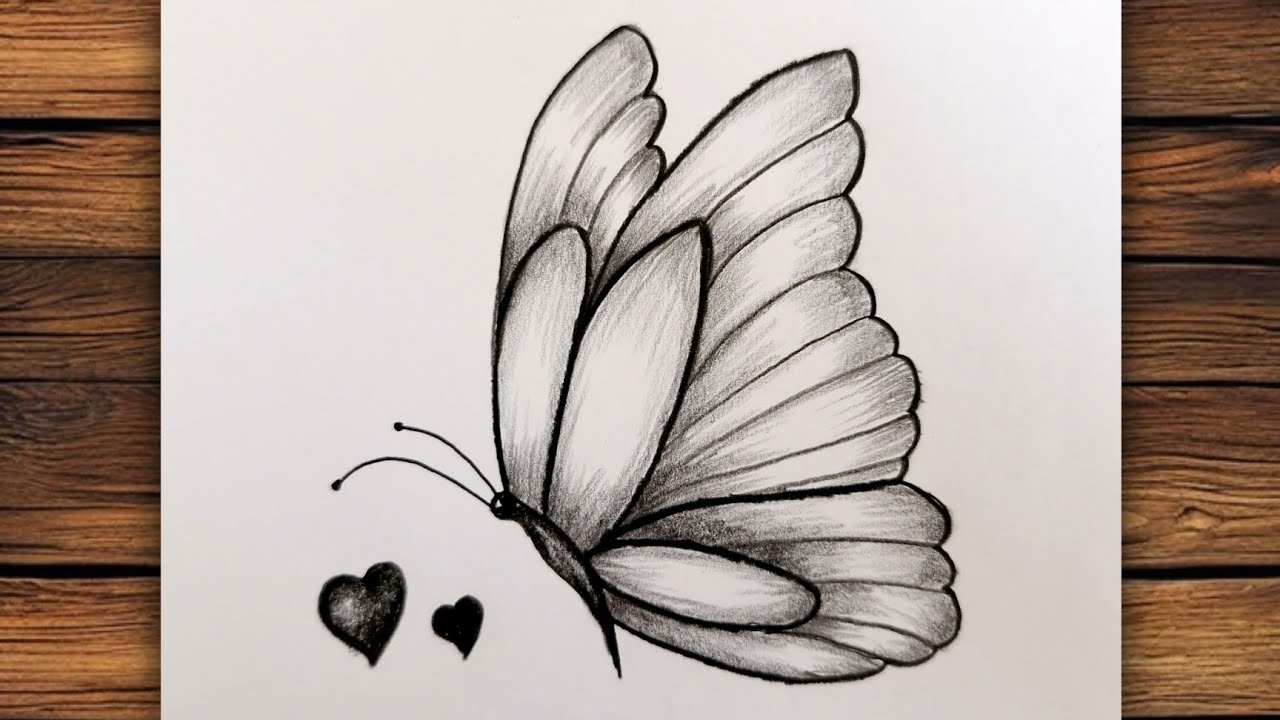 How to draw a beautiful butterfly / Step by step butterfly drawing ...