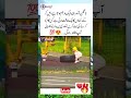 🔥 Unexpected moment #ytshorts #youtubeshorts #shorts #i4ilam #jokerquotes #islamic #fyp 811