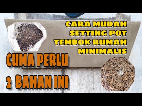  Cara  mudah mengisi pot  tembok  rumah minimalis YouTube