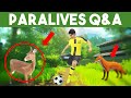 PARALIVES: SPORTS, CAREERS, WILDLIFE, GROCERY STORES, & MORE