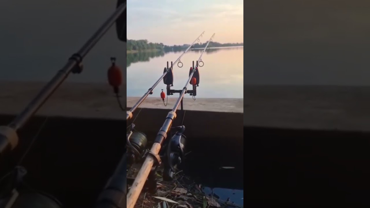 AMAZING carp run😱🔥 