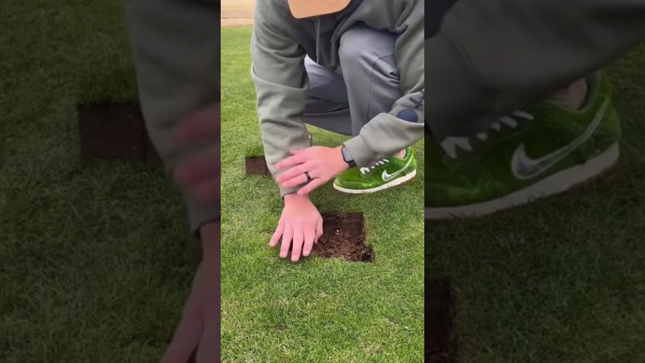 the process of laying good soil and grass into the hole has been provided