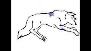 Time of dying / Flipnote Hatena