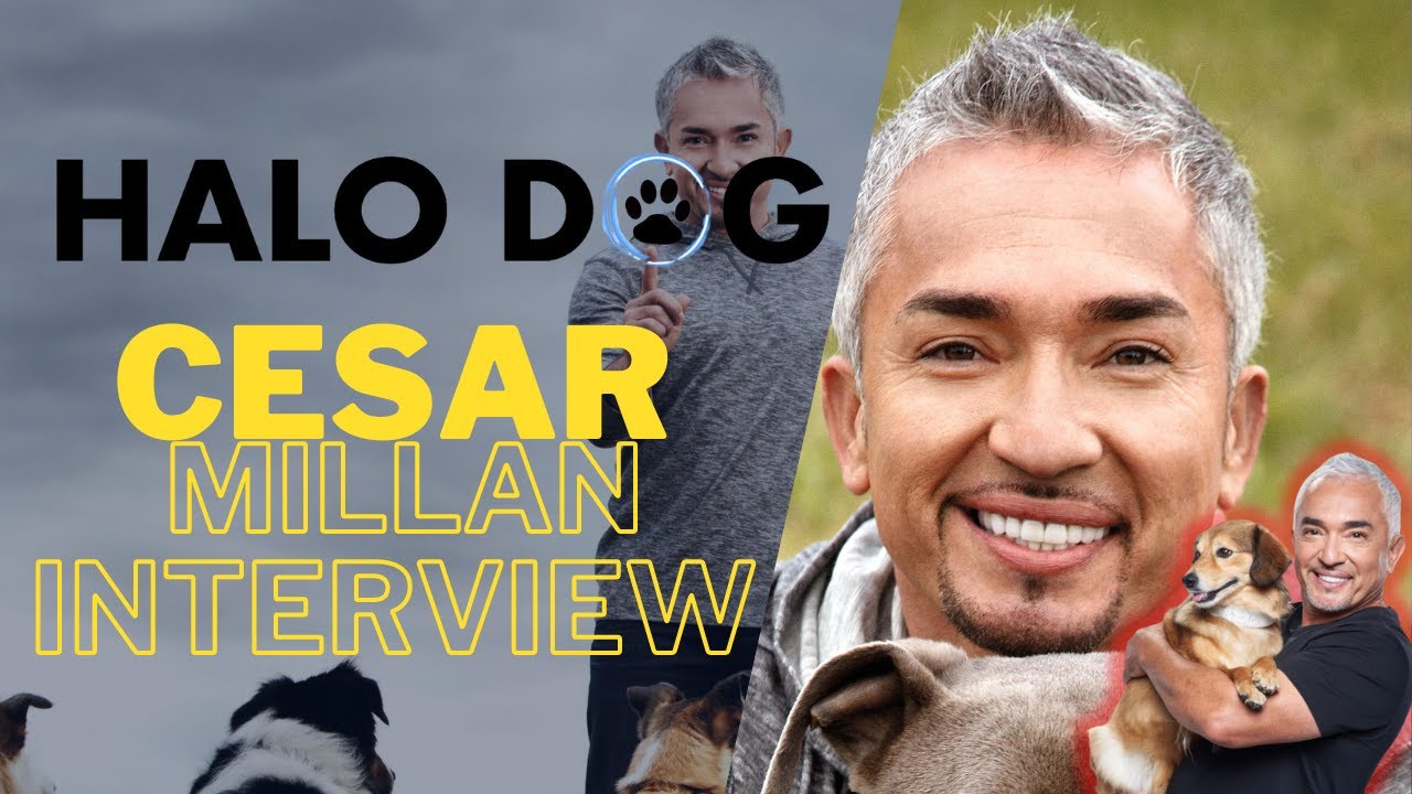 Cesar Millan “The Dog Whisper” Marks 20-Year TV Milestone | The Brett Allan Show | Halo Collar!