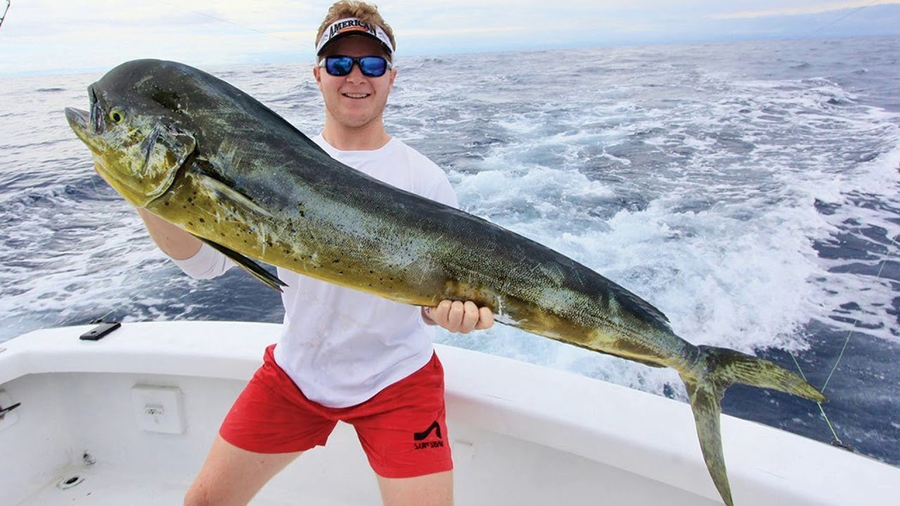 Los Suenos Fishing Charters - Top Fishing out of Los Suenos Marina