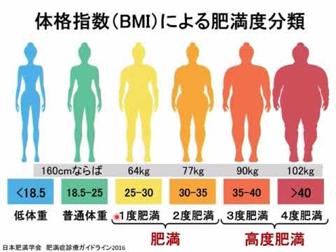 【肥満と肥満症は何が違う？】健康的な肥満と病気の肥満症、どう違う？何が違う？【肥満症】