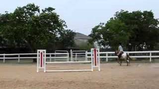 Rusty's First 2ft Jump Course
