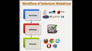 Lección 2: Cómo Encontrar los Localizadores de los Elementos Web en Selenium WebDriver