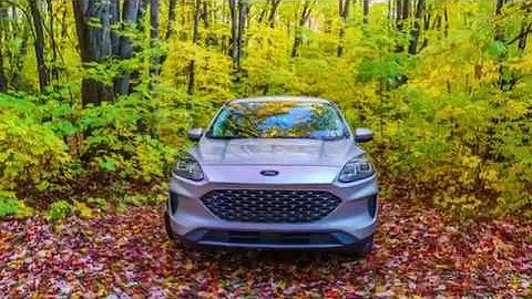 2019 Northern Michigan Fall Color Tour 3