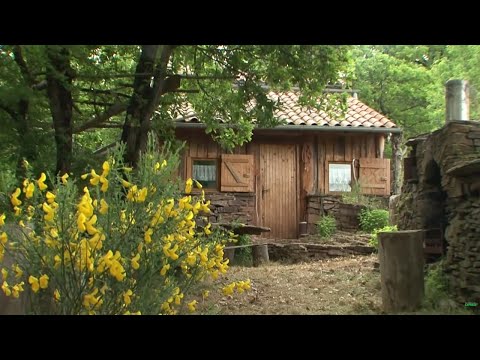 Vidéo: Suivre les courbes naturelles du paysage voisin: la maison Lo Curro au Chili