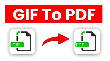 How to Convert GIF to PDF Easily | Add Animated GIFs to PDF