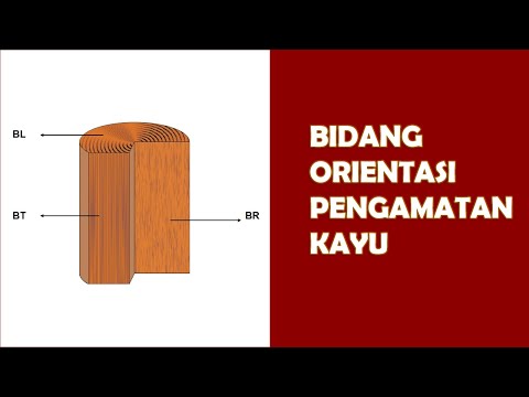 Bidang Orientasi Pengamatan Kayu - Identifikasi Jenis Kayu - Pengenalan Jenis Kayu