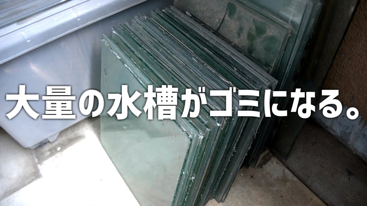 恥を忍んで大公開！数百kgの石や放置された大量の水槽が置かれた